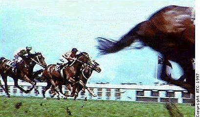 Sty on for Melbourne Cup Tuesday 4 November 2003